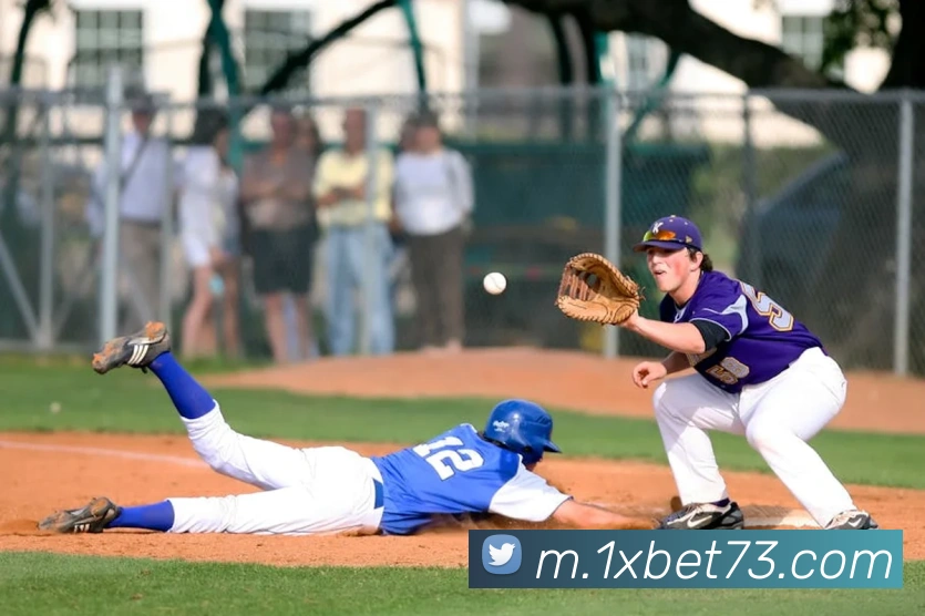 1xbet平台生态图